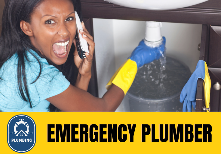 emergency plumber Kings Hill 